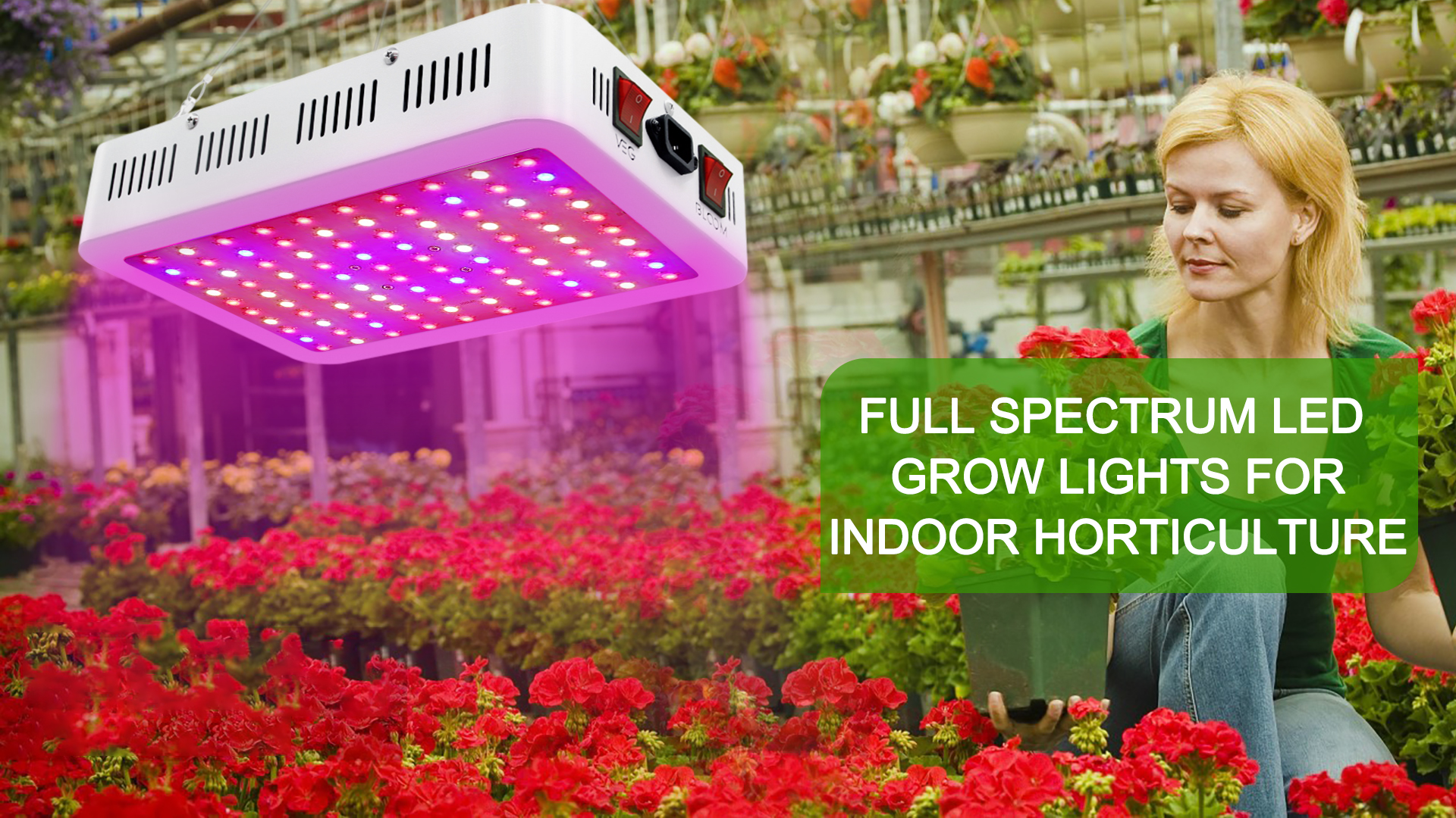 Amazon.com: NAILGIRLS LED Grow Light, 600W Grow Lamp for Indoor